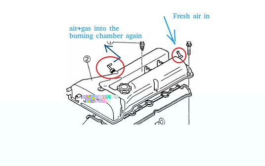explained.jpg